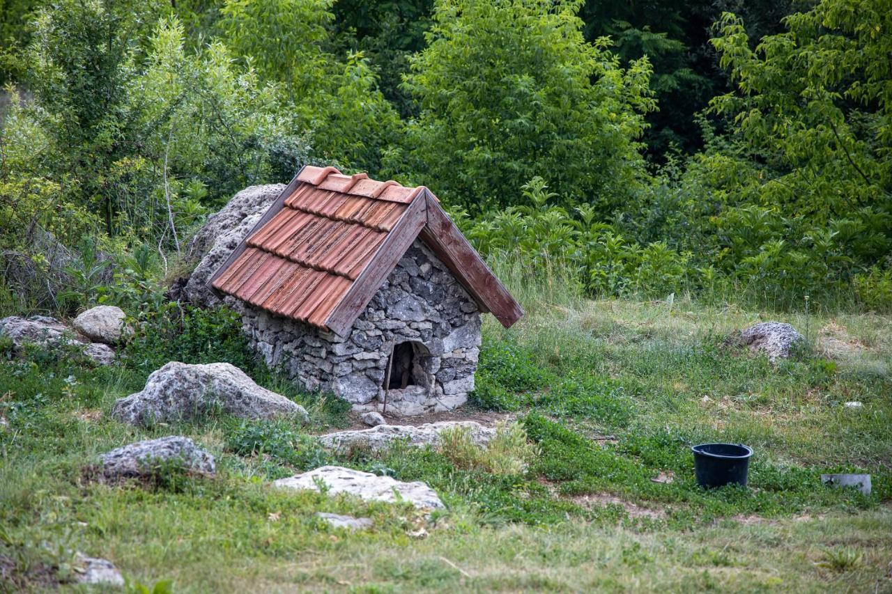 Casa Agricultorului Varzari Butuceny 外观 照片