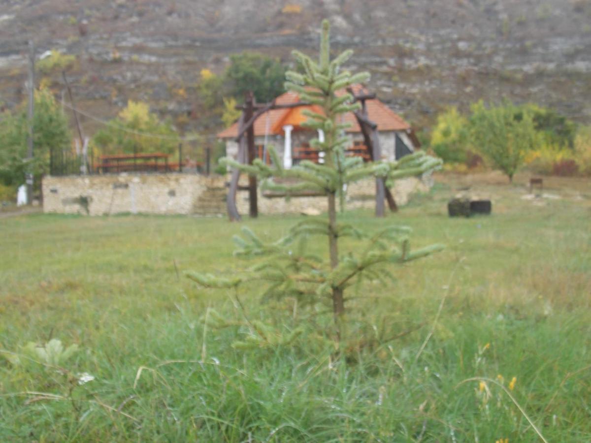 Casa Agricultorului Varzari Butuceny 外观 照片